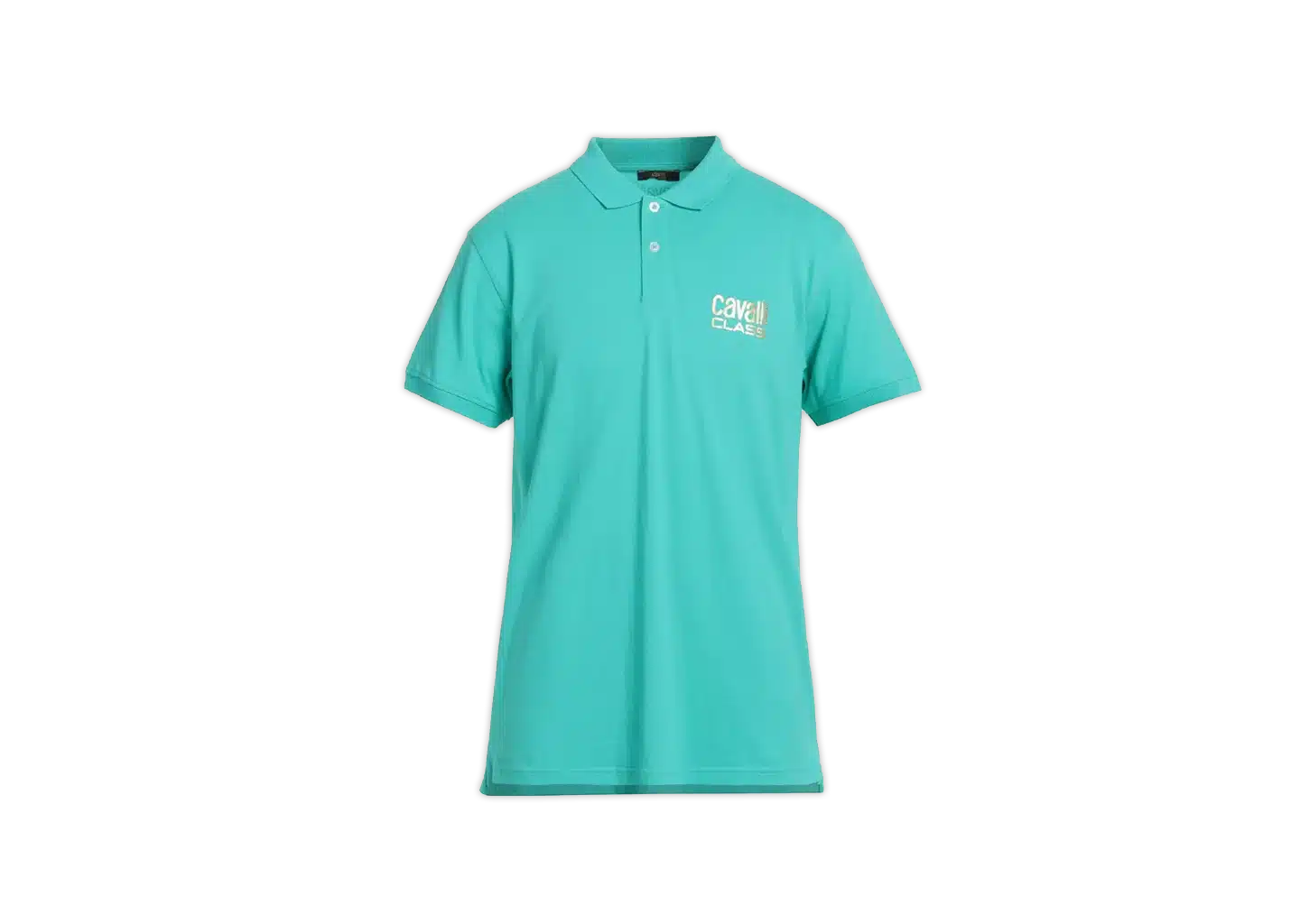 Roberto Cavalli Class Polo shirt green